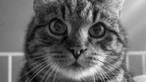 Zdjęcie aktualizacji 181 766