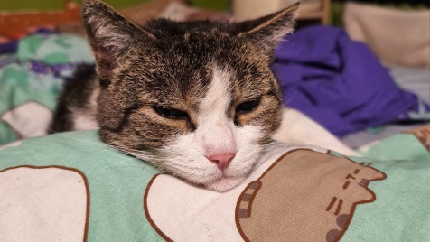 Zdjęcie aktualizacji 181 860