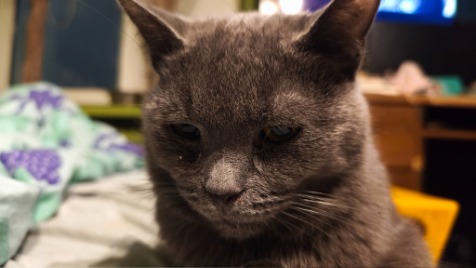 Zdjęcie aktualizacji 181 862