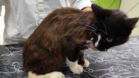 Zdjęcie aktualizacji 181 877