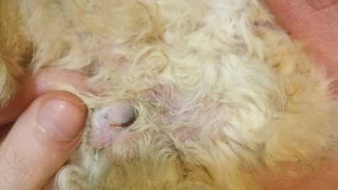 Zdjęcie aktualizacji 181 948