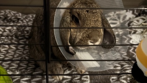 Zdjęcie aktualizacji 182 103