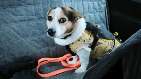 Zdjęcie aktualizacji 182 240