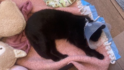 Zdjęcie aktualizacji 182 380