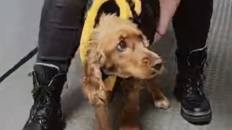 Zdjęcie aktualizacji 182 405