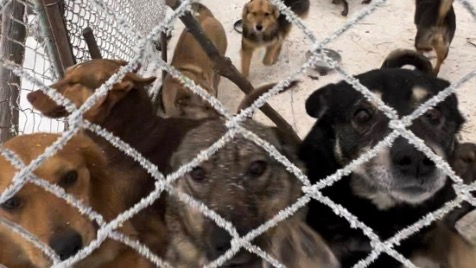 Zdjęcie aktualizacji 182 460