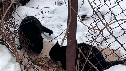 Zdjęcie aktualizacji 182 505