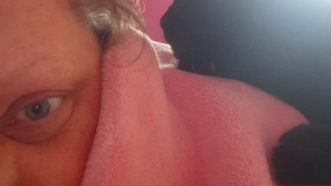 Zdjęcie aktualizacji 182 517