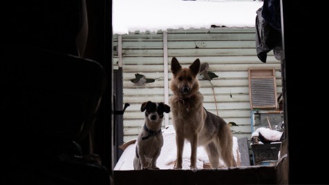 Zdjęcie aktualizacji 182 520