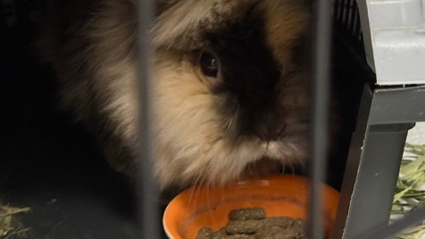 Zdjęcie aktualizacji 182 524