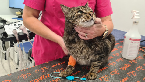 Zdjęcie aktualizacji 182 535