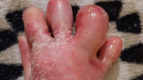 Zdjęcie aktualizacji 182 597