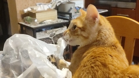 Zdjęcie aktualizacji 182 670