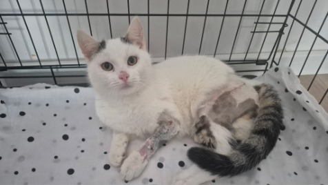 Zdjęcie aktualizacji 182 724