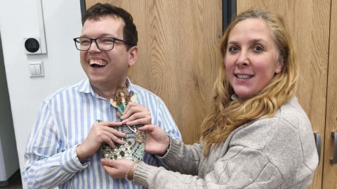 Zdjęcie aktualizacji 182 776