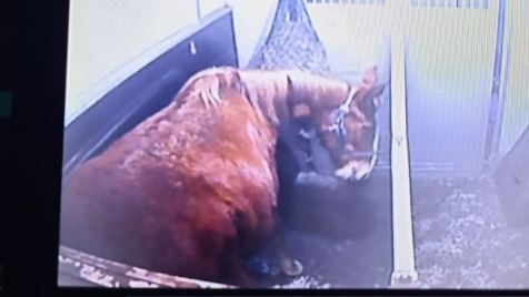 Zdjęcie aktualizacji 182 798