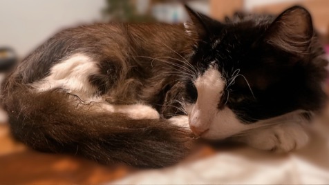 Zdjęcie aktualizacji 182 849