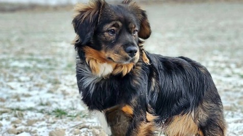 Zdjęcie aktualizacji 182 860