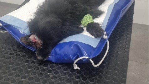 Zdjęcie aktualizacji 182 977