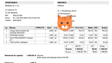 Zdjęcie aktualizacji 182 983