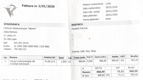 Zdjęcie aktualizacji 182 991