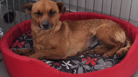 Zdjęcie aktualizacji 183 029