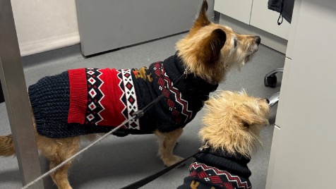 Zdjęcie aktualizacji 183 086