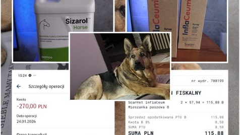 Zdjęcie aktualizacji 183 106