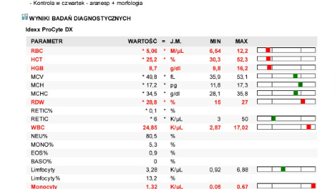 Zdjęcie aktualizacji 183 260