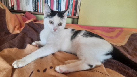 Zdjęcie aktualizacji 183 369