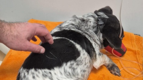 Zdjęcie aktualizacji 183 385