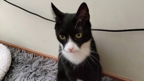 Zdjęcie aktualizacji 183 499