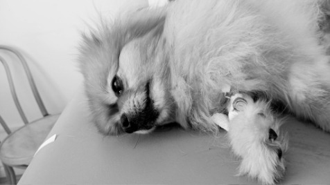 Zdjęcie aktualizacji 183 793