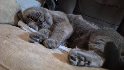 Zdjęcie aktualizacji 183 860