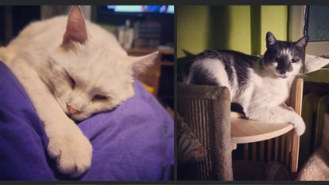 Zdjęcie aktualizacji 183 943