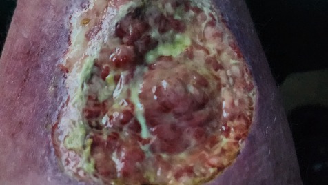 Zdjęcie aktualizacji 184 064