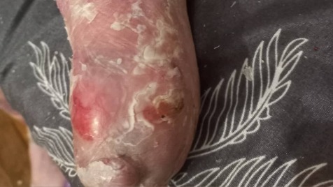 Zdjęcie aktualizacji 184 127