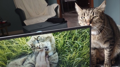 Zdjęcie aktualizacji 184 208