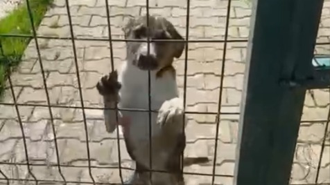 Zdjęcie aktualizacji 184 290