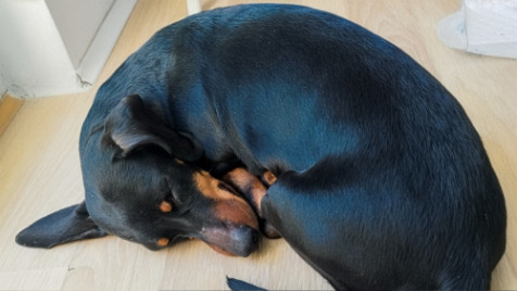 Zdjęcie aktualizacji 184 366