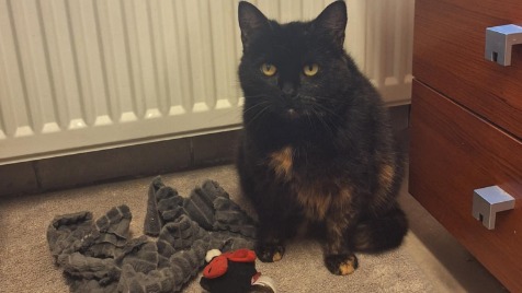 Zdjęcie aktualizacji 184 426