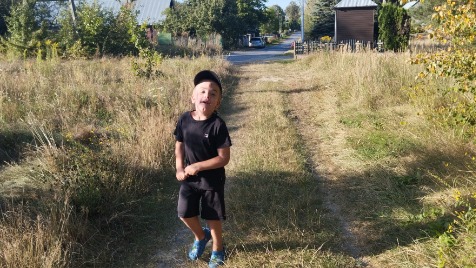 Zdjęcie aktualizacji 184 427