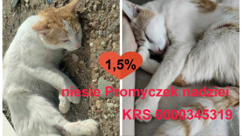 Zdjęcie aktualizacji 184 474