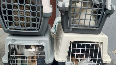 Zdjęcie aktualizacji 184 499