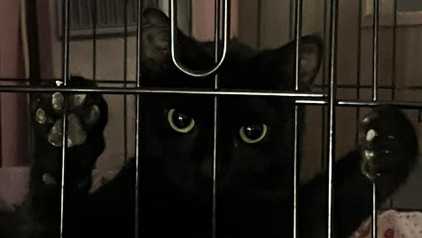 Zdjęcie aktualizacji 184 502