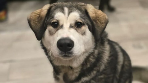 Zdjęcie aktualizacji 184 512