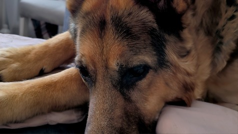 Zdjęcie aktualizacji 184 651