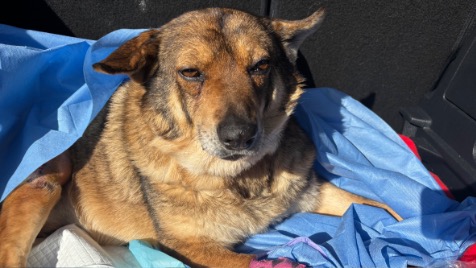 Zdjęcie aktualizacji 184 672