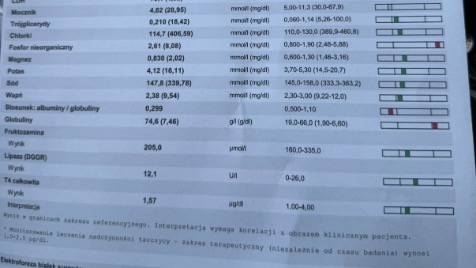 Zdjęcie aktualizacji 184 706