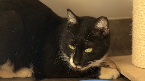 Zdjęcie aktualizacji 184 807